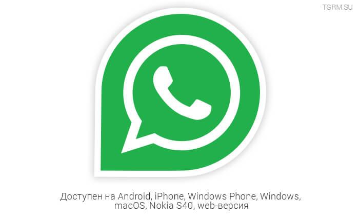 картинка: whatsapp или telegram