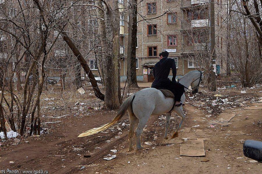 Дуров фото в пустыне