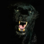 Канал Black Panther